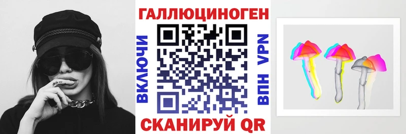 Галлюциногенные грибы Psilocybe  Купить закладки  Котлас 